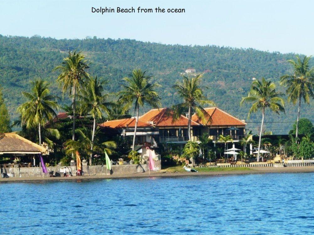 Dolphin Beach Bali Lovina Zewnętrze zdjęcie