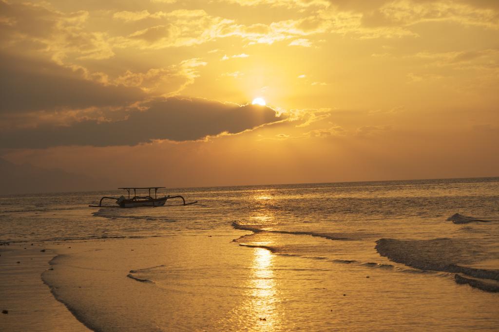 Dolphin Beach Bali Lovina Zewnętrze zdjęcie
