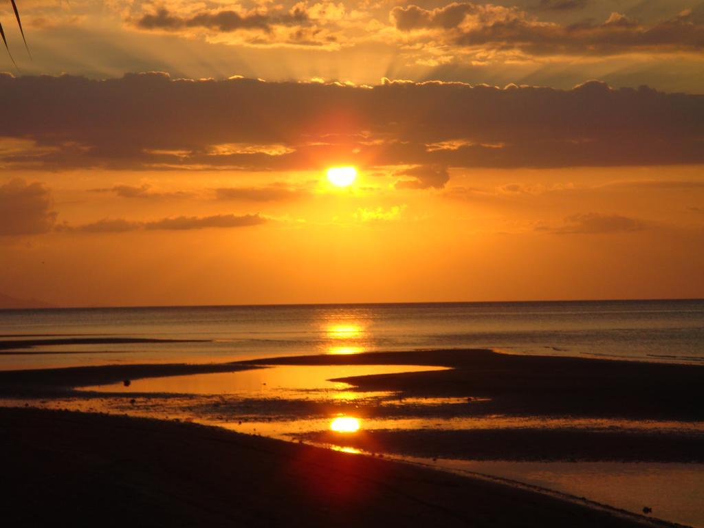 Dolphin Beach Bali Lovina Zewnętrze zdjęcie