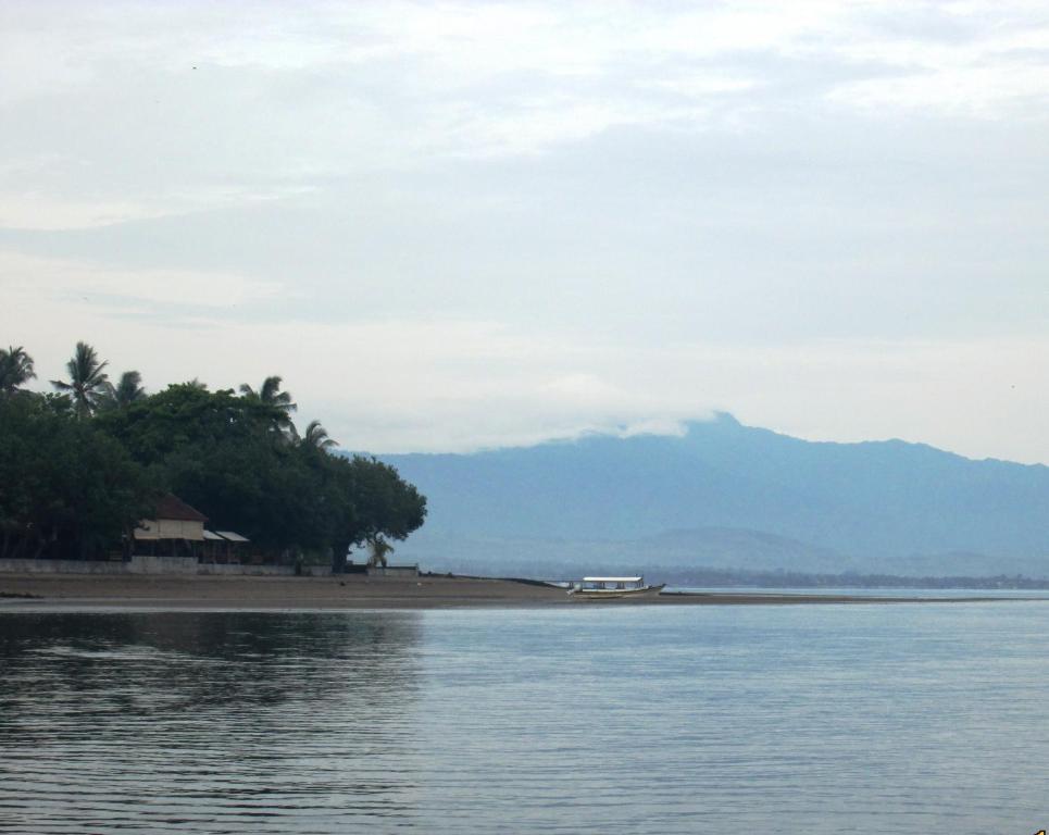 Dolphin Beach Bali Lovina Zewnętrze zdjęcie