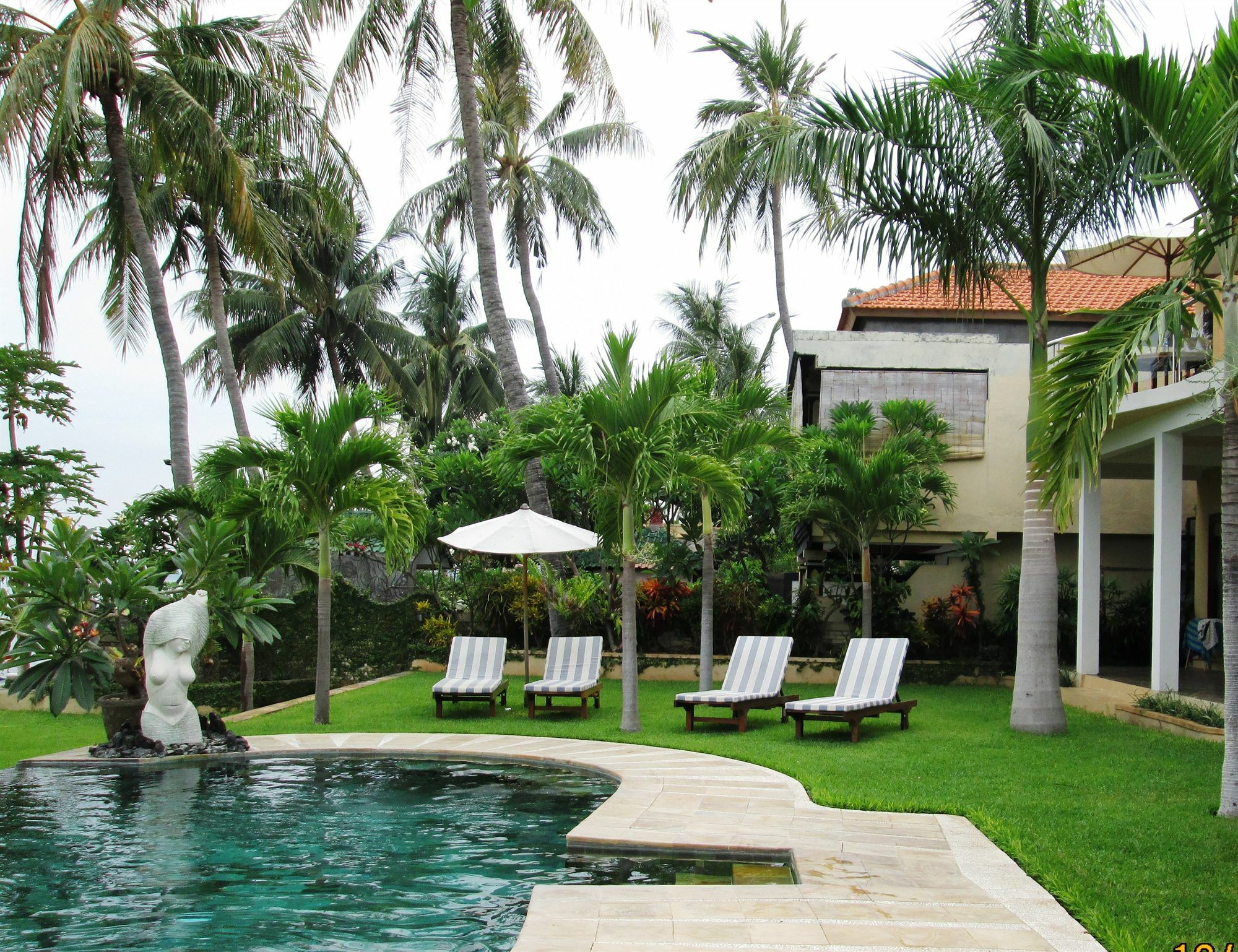 Dolphin Beach Bali Lovina Zewnętrze zdjęcie